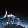 Unitree A2 quadruped standing on rocky terrain at night