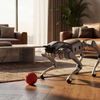 Unitree As2 industrial quadruped — gallery